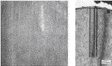 TEM images of the cross-sections of GaN homoepitaxial layers...
