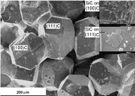 SEM micrograph of the as-sintered diamond–SiC–Si composite